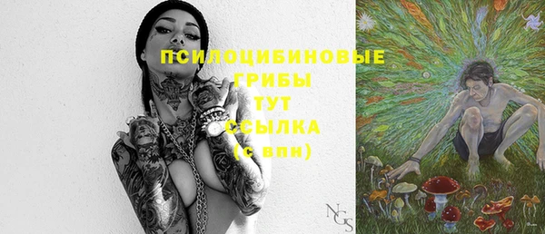 apvp Баксан