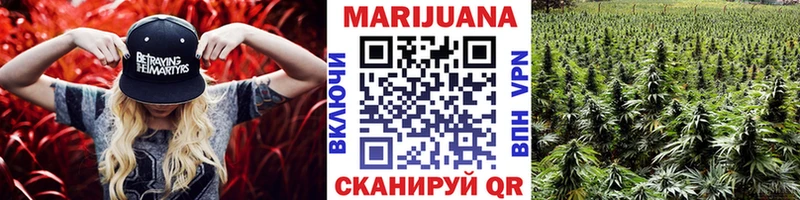 купить наркотики цена  Заводоуковск  МАРИХУАНА OG Kush 